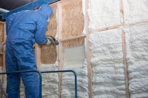 Best Eco-Friendly Insulation Solutions  in Walker Valley, NY